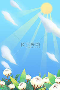 霜降棉花背景图片_蓝天白云太阳光线棉花植物广告背景