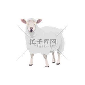 牧羊场动物牛的标志羊肉家畜和羊肉制品的标志卡通隔离羔羊肉店和农场市场动物标志绵羊农场动物牛图标羔羊