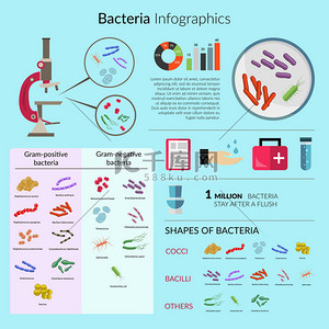 细菌的信息图表集