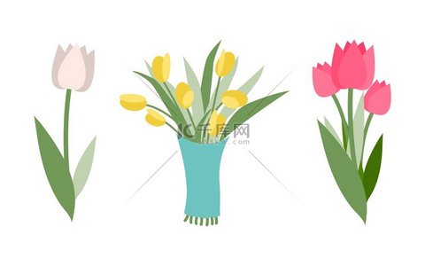 花卉矢量的类型，孤立的图标集不同颜色的郁金香。
