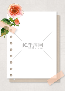 玫瑰边框背景图片_花卉金线边框红粉玫瑰纸张背景