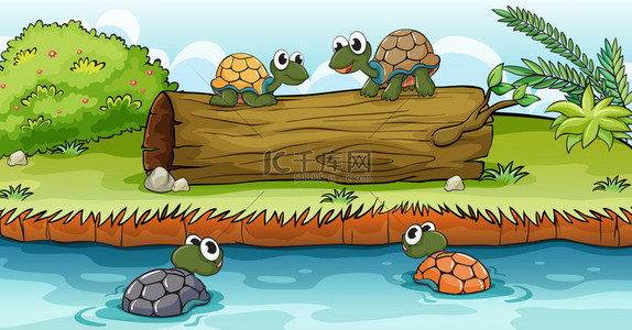 关于水和日志海龟