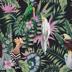 兰博基尼合照背景图片_热带鸟类鹦鹉, 黄鸟, 植物叶子花弗兰基帕尼 (皮草) 抽象颜色黑色的背景。无缝矢量模式