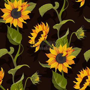 向日葵向量无缝图案花卉纹理在黑色背景