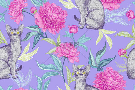 猫和牡丹。小猫和花。无缝模式。矢量例证现代。手工素描宠物和植物。粉红色, 灰色和紫色。为设计纸, 墙纸, 纺织品, 装饰动物商店