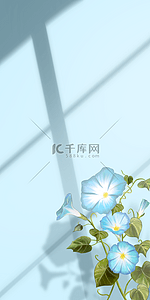 花卉与阴影蓝白花朵装饰背景