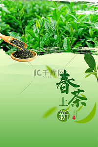 茶叶海拔背景图片_春茶海报茶叶茶园
