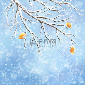 立秋快乐背景图片_冬天背景与积雪冰冻的树早午餐，去年秋天的叶子，降雪蓝散景的背景上。降雪天气矢量设计。圣诞冬季风景贺卡