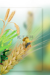 小满麦子背景图片_小满麦子绿色简约背景