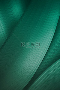 绿色粽叶质感纹理端午节海报背景