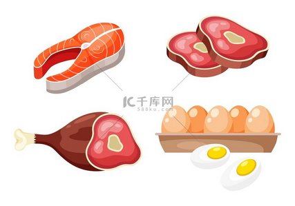 生肉、鱼和蛋的平面图标，动物蛋白质来源。