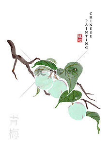 水彩中国水墨画艺术插图自然植物从《诗书梅花》。中文单词翻译： 植物和梅花