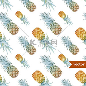 水果背景图片_水彩菠萝、 热带植物和水果-外来模式