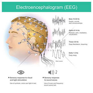system背景图片_利用电极从人脑中读取小电磁波.