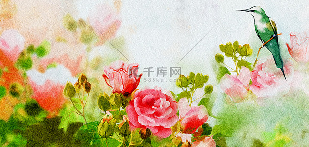 水彩芙蓉花彩色插画水彩海报