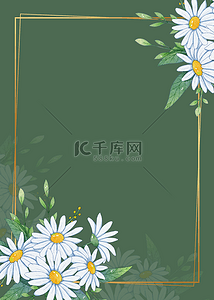 彩色海报边框背景图片_花卉植物装饰白色花瓣背景