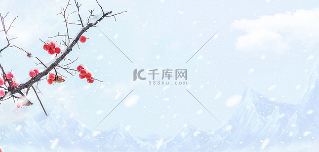 背景图片_立冬红柿子浅蓝实物摄影背景图