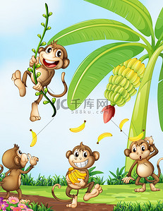 新鲜香蕉背景图片_顽皮的猴子附近香蕉植株