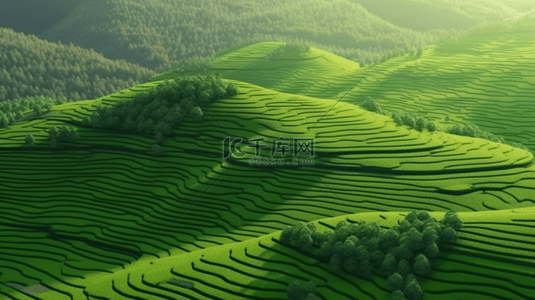 绿色农业背景图片_绿色梯田农业自然背景