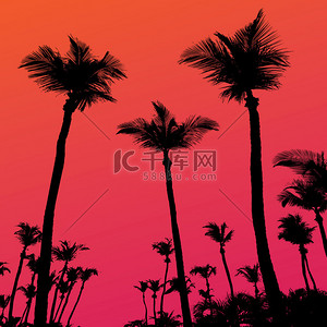 紫色天空背景背景图片_棕榈树夕阳剪影