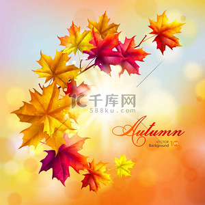 抽象秋季背景与叶.