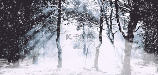 冬至背景图片_冬天树林雪黑白摄影水墨