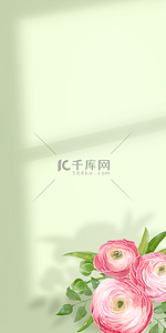 白色清新花卉背景图片_花卉与阴影粉白花瓣装饰背景