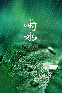 简约雨滴背景图片_雨水树叶雨滴绿色简约背景