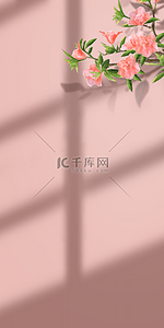 花手机壁纸背景图片_花卉与阴影粉色花朵手机壁纸