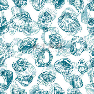 海星贝壳背景图背景图片_插图与海贝壳