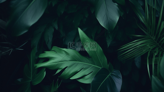 绿色树叶纹理背景背景图片_绿色热带植物叶子背景