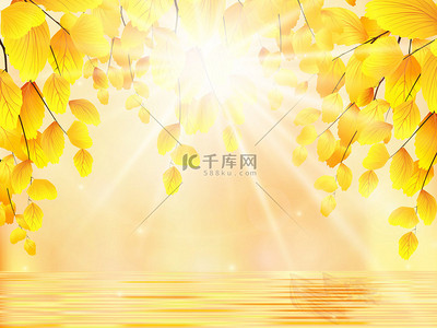 天气现象背景图片_秋天。树枝、 金黄的叶子和水