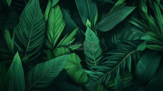 绿色树叶背景图片_绿色热带植物叶子背景