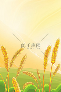 金色小麦背景图片_金色二十四节气芒种背景素材