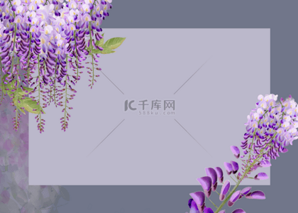白色清新花卉背景图片_紫藤兰花朵花卉水彩背景