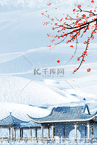 冬季花朵背景图片_冬季雪景蓝色