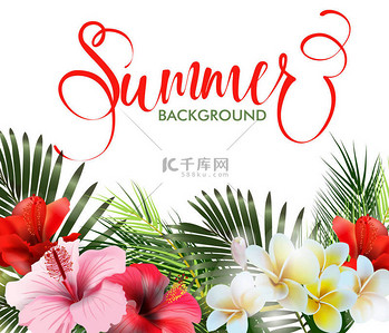 summer背景图片_Summer holidays background with tropical flowers. Summer text. Vector.