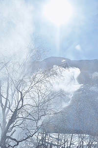 蓝天雪地摄影照片_冬天雪地树丛雾凇