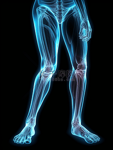 人体医疗背景图片_人体下肢大腿透视骨骼经络