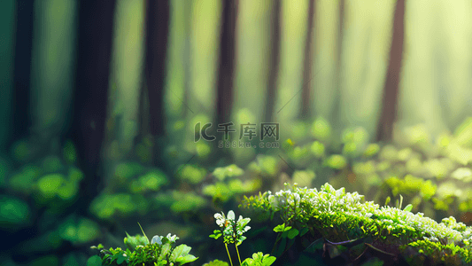 小花朵背景图片_森林绿色植物小花朵