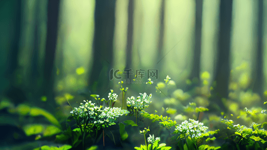 夏季背景图片_森林绿色植物小花朵