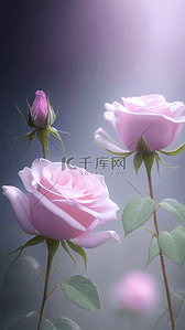 520背景图片_母亲节粉色透明的丁香玫瑰