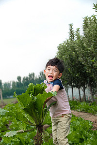 东方儿童采摘蔬菜