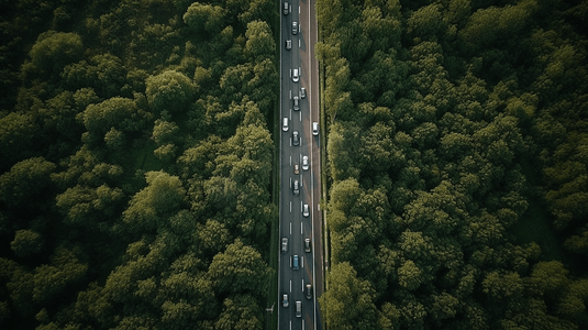 航拍树木环绕的高速公路
