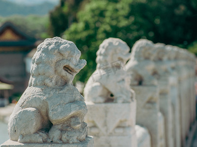 大门上边的狮子摄影照片_中国古建筑园林建筑皇家园林颐和园十七孔桥皇家狮子