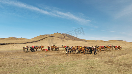 乌兰布统春季高山草原马匹旅游