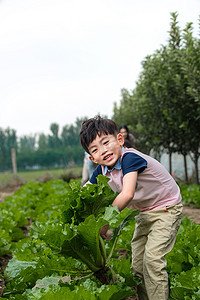 东方儿童采摘蔬菜