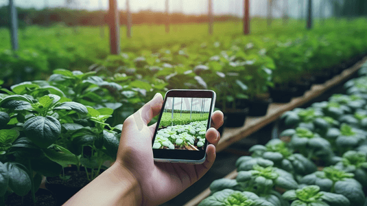 现代智能科技摄影照片_智能农业、农业综合企业和技术。农民用智能手机扫描农作物种植的跟踪应用细节，以验证生产者和消费者之间的质量。
