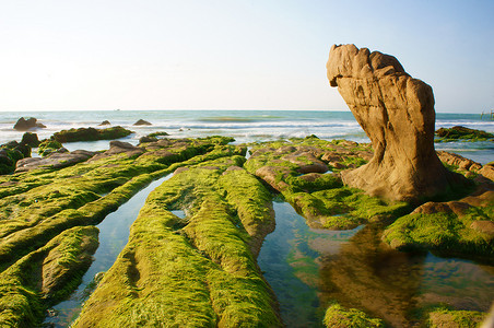 令人印象深刻摄影照片_令人印象深刻的风景与绿色苔藓，海滩上的石头