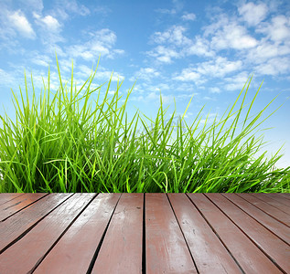 大阳台摄影照片_有新鲜的春天绿草的木大阳台